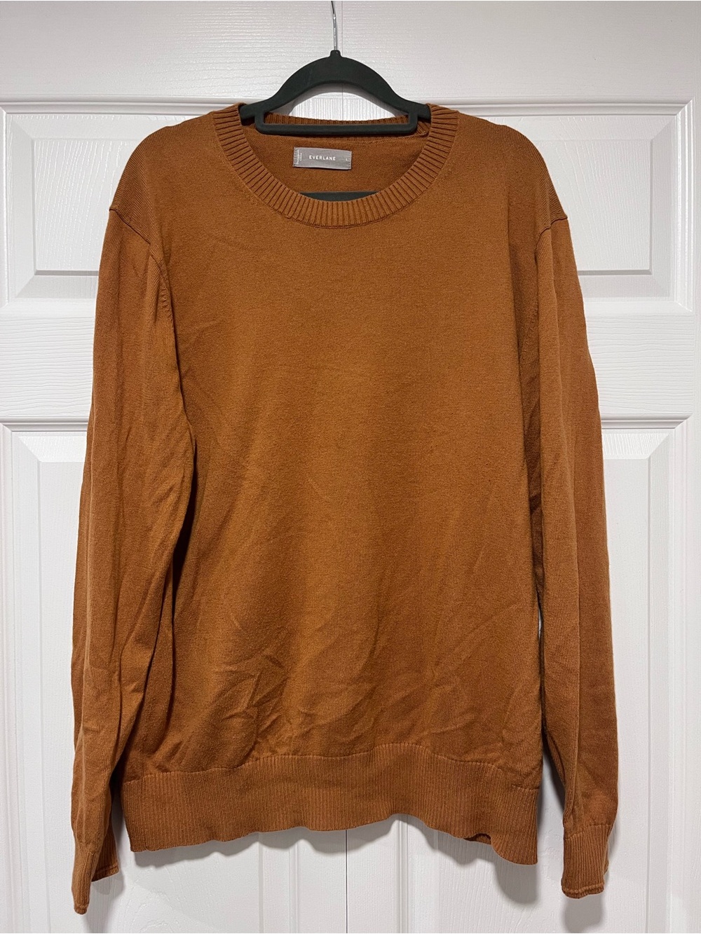 Everlane Men's Crewneck Sweater - Rust